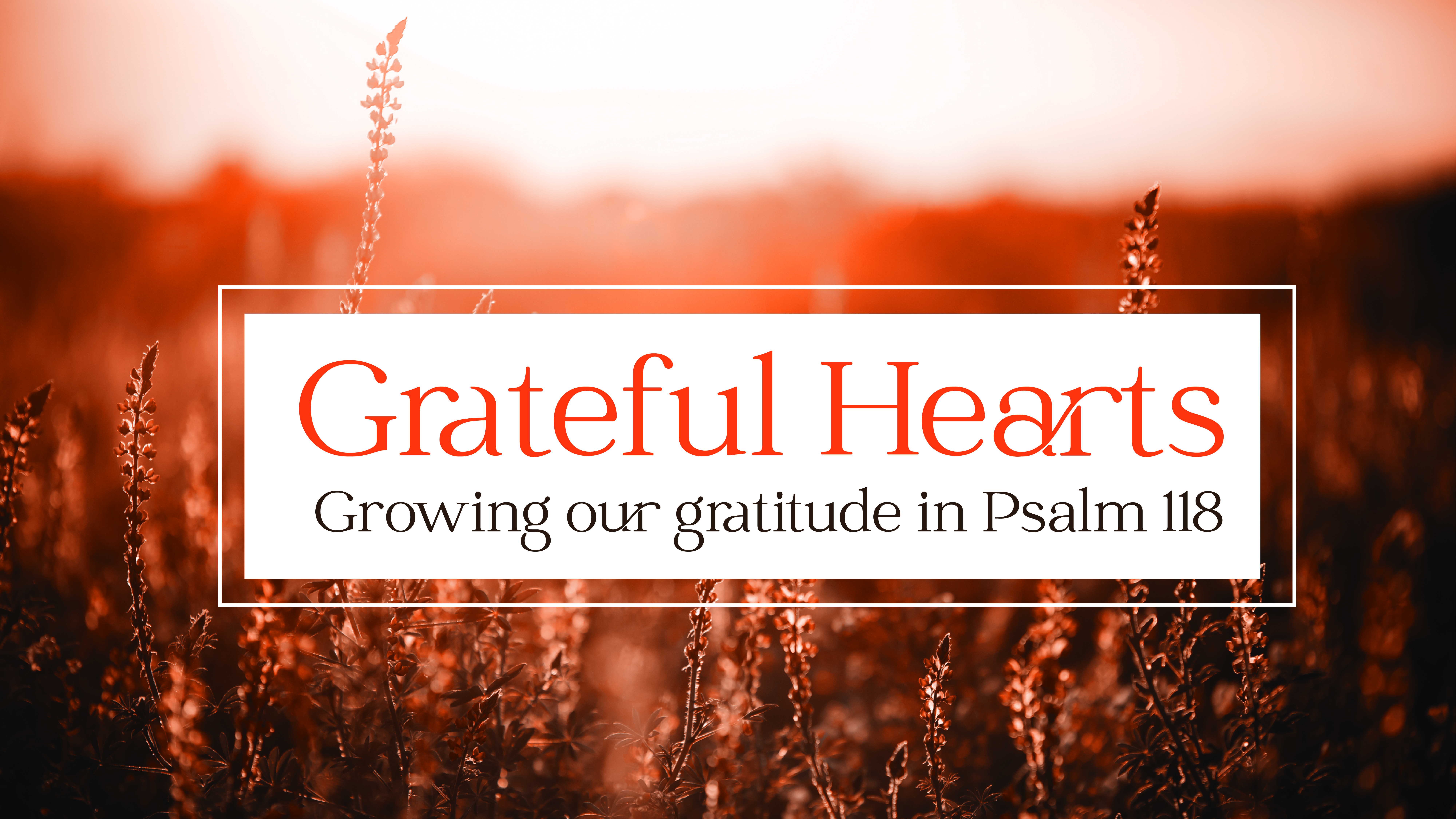Grateful Hearts - Part I